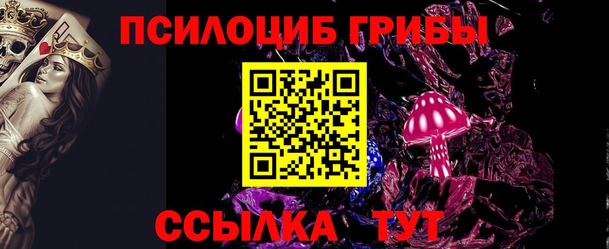 Псилоцибиновые грибы MAGIC MUSHROOMS Железногорск