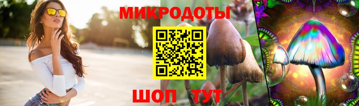Псилоцибиновые грибы Psilocybine cubensis  Вход с VPN  Железногорск 